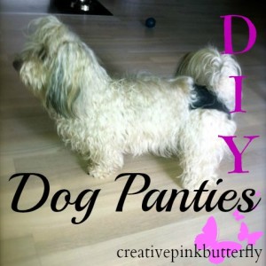 DIY Dog Panties