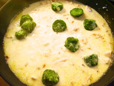Chicken with Spinach and Cocont Milk - 16