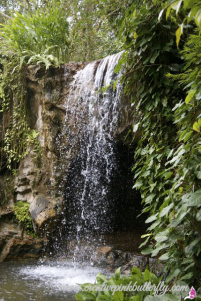 Botanical Gardens Waterfall Singapore