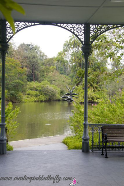 Swan Lake Botanical Gardens Singapore