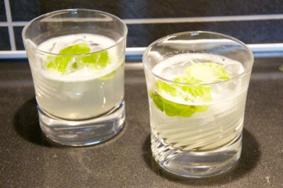 Mint Lemon Vodka - 8